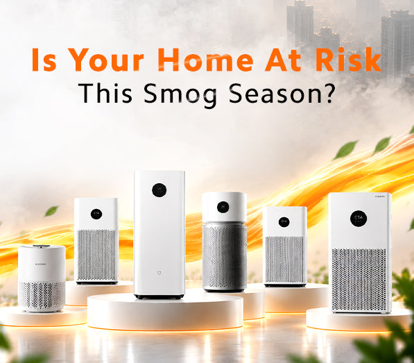 If You Don't Have This at Home, You Could Be at Risk This Smog Season