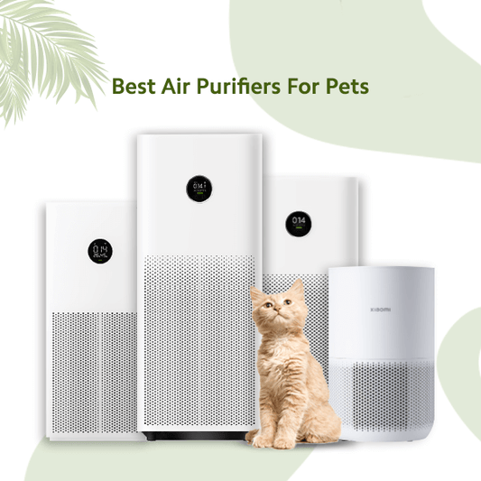 Best Air Purifier For Pets