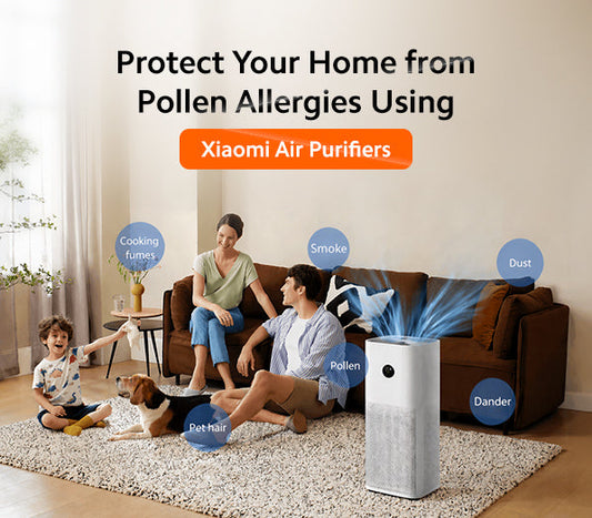 Protect your home from pollen allergies