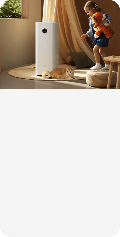 SGS-certified allergen removal