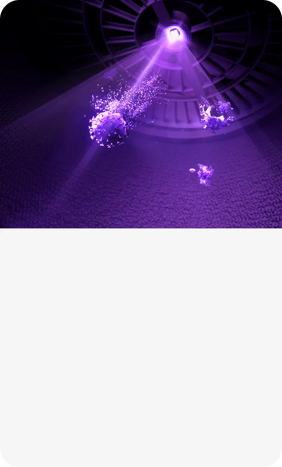 Efficient bacteria and virus elimination