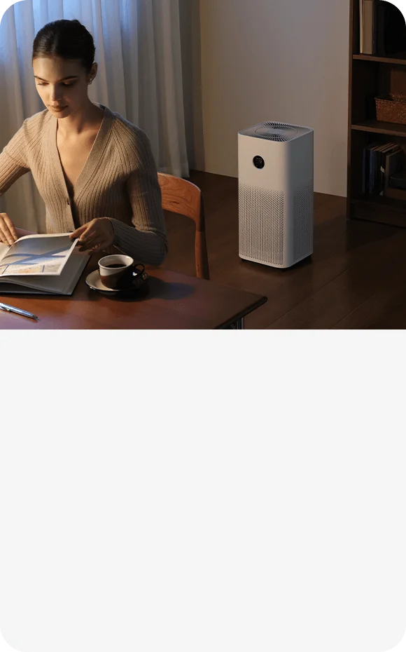 The ideal sleep companion