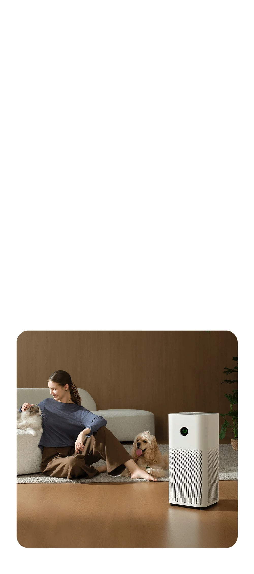 Consistent clean air flow