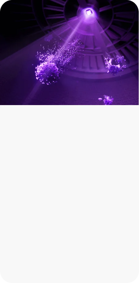 Efficient bacteria and virus elimination