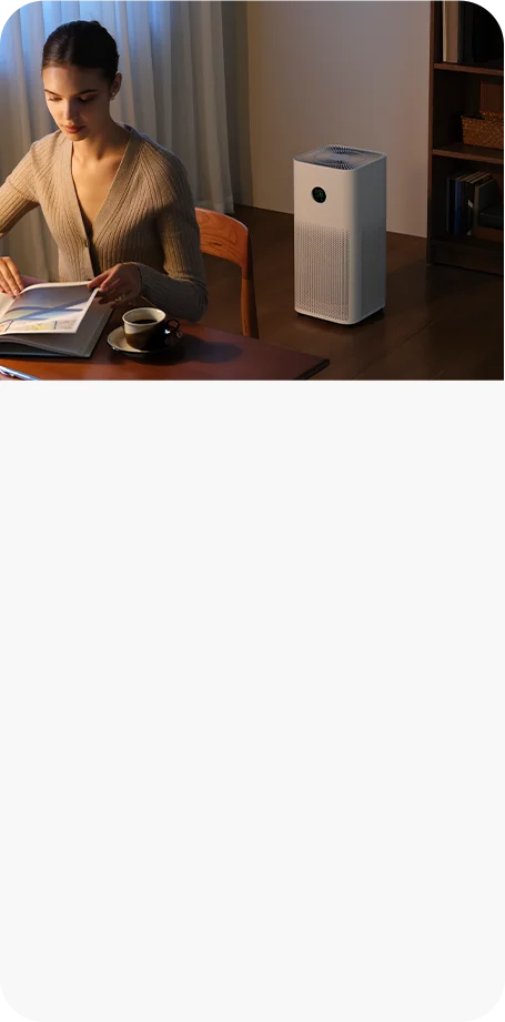 The ideal sleep companion